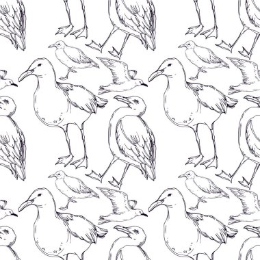 Vektör Gökyüzü kuş martı izole bir yaban hayatı. Siyah ve beyaz oyulmuş mürekkep sanatı. Kesintisiz arka plan deseni.