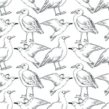 Vector Sky bird seagull in a wildlife isolated. Black and white engraved ink art. Seamless background pattern. clipart