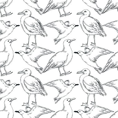 Vector Sky bird seagull in a wildlife isolated. Black and white engraved ink art. Seamless background pattern. clipart