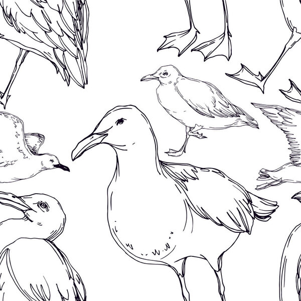 Vector Sky bird seagull in a wildlife isolated. Black and white engraved ink art. Seamless background pattern.