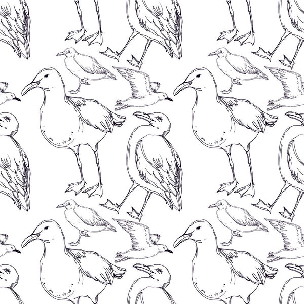 Vector Sky bird seagull in a wildlife isolated. Black and white engraved ink art. Seamless background pattern.