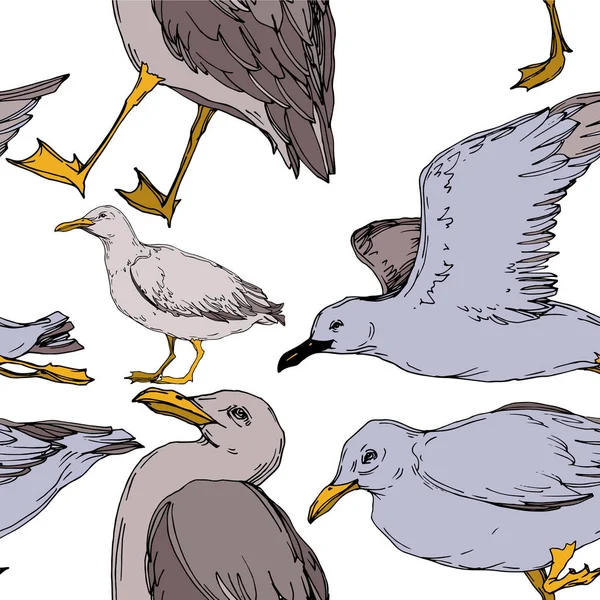 Vector Sky gaivota pássaro em uma vida selvagem isolado. Tinta gravada a preto e branco. Padrão de fundo sem costura . — Vetor de Stock