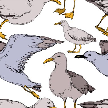 Vector Sky bird seagull in a wildlife isolated. Black and white engraved ink art. Seamless background pattern. clipart