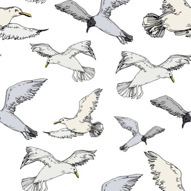 Sky bird seagull in a wildlife. Black and white engraved ink art. Seamless background pattern. clipart