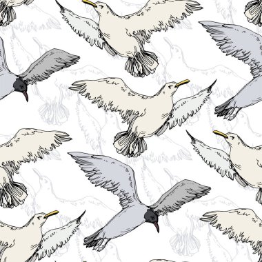 Sky bird seagull in a wildlife. Black and white engraved ink art. Seamless background pattern. clipart