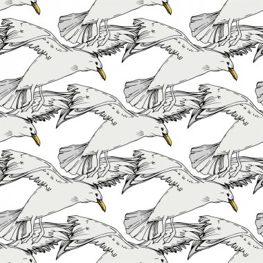 Vahşi yaşamda gökyüzü kuşu martı. Siyah ve beyaz oyulmuş mürekkep sanatı. Kesintisiz arka plan deseni.