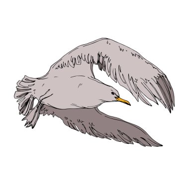 Vektör Gökyüzü kuş martı bir yaban hayatı içinde. Siyah ve beyaz oyulmuş mürekkep sanatı. İzole martı illüstrasyon elemanı.