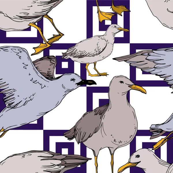 Vector Oiseau céleste mouette dans une faune isolée. Encre gravée en noir et blanc. Modèle de fond sans couture . — Image vectorielle