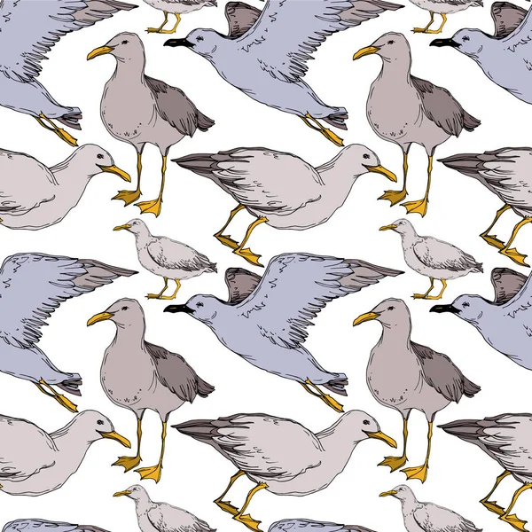 Vector Sky Bird Seagull i ett djurliv isolerat. Svart och vit graverad bläck konst. Sömlöst bakgrundsmönster. — Stock vektor