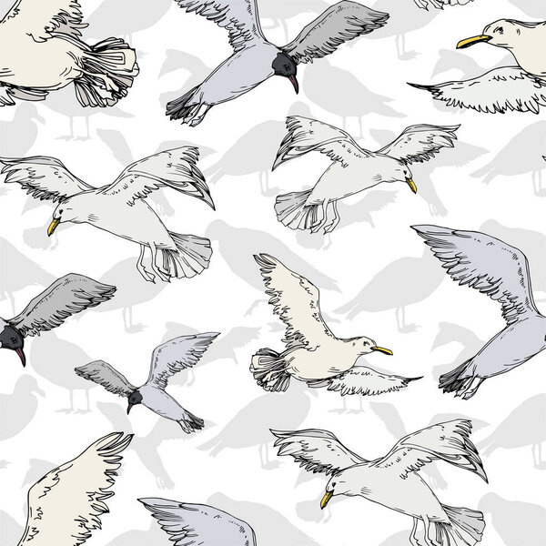 Sky bird seagull in a wildlife. Black and white engraved ink art. Seamless background pattern.