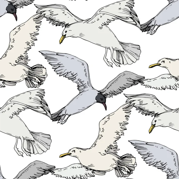 Γλάρος πουλιών σε μια άγρια ζωή. Μαύρο και άσπρο χαραγμένο μελάνι τέχνης. Ομαλή μοτίβο φόντου. — Διανυσματικό Αρχείο