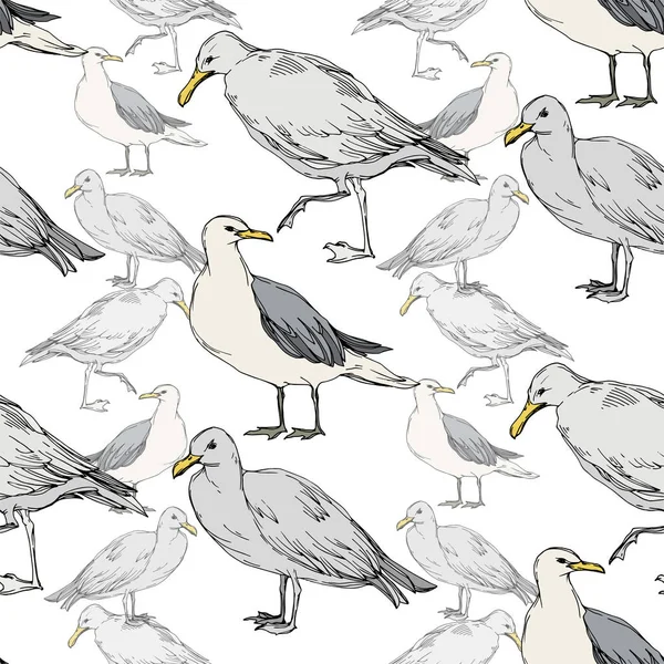 Sky Bird Seagull i ett djurliv. Svart och vit graverad bläck konst. Sömlöst bakgrundsmönster. — Stock vektor