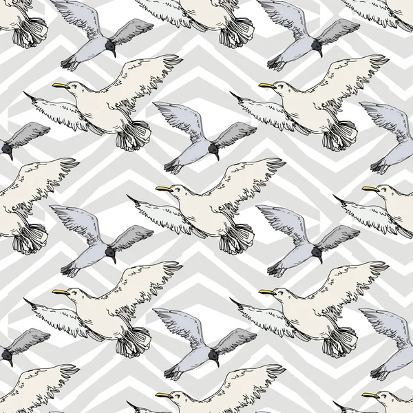 Ciel oiseau mouette dans une faune sauvage. Encre gravée en noir et blanc. Modèle de fond sans couture . — Image vectorielle