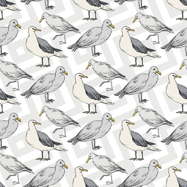 Sky bird seagull in a wildlife. Black and white engraved ink art. Seamless background pattern.