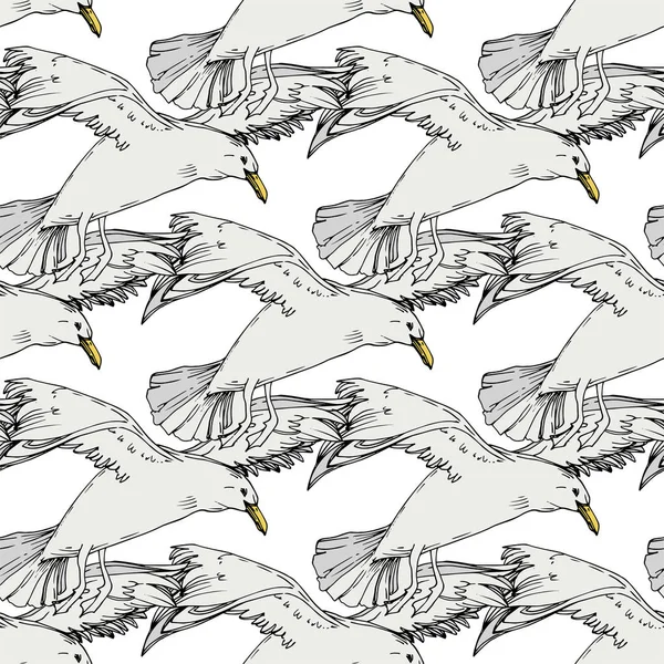 Niebo ptak Seagull w dzikiej przyrody. Czarno-biała grawerowana sztuka atramentu. Płynny wzór tła. — Wektor stockowy