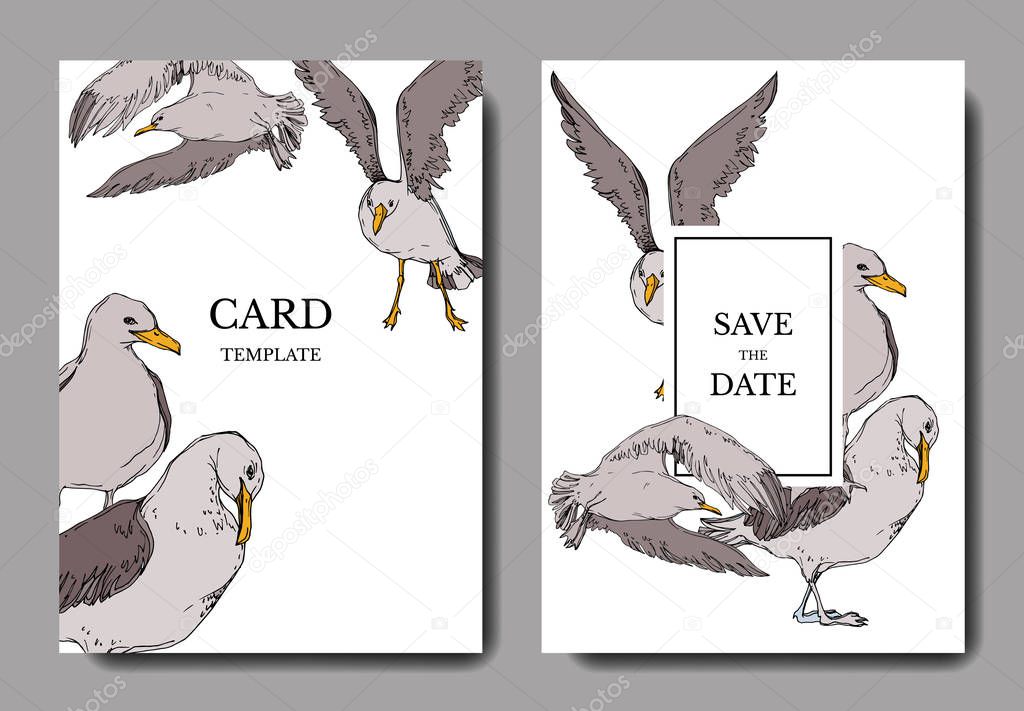 Vector Sky bird seagull in a wildlife. Black and white engraved ink art. Wedding background card decorative border.