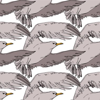 Vektör Gökyüzü kuş martı bir yaban hayatı içinde. Siyah ve beyaz oyulmuş mürekkep sanatı. Kesintisiz arka plan deseni.