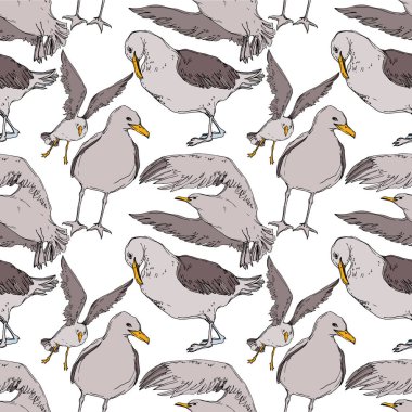 Vector Sky bird seagull in a wildlife. Black and white engraved ink art. Seamless background pattern. clipart