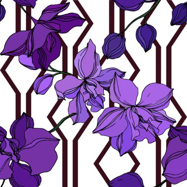Vector Orchid floral botanical flowers. Black and purple engraved ink art. Seamless background pattern. clipart