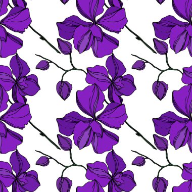 Vektör Orkide çiçek botanik çiçekler. Siyah ve mor oyma mürekkep sanatı. Kesintisiz arka plan deseni.