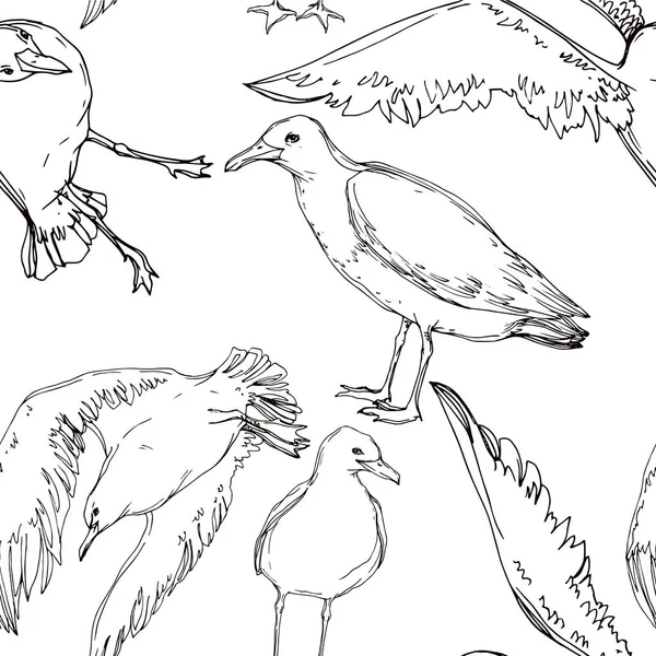 Vector Sky gaivota pássaro em uma vida selvagem. Tinta gravada a preto e branco. Padrão de fundo sem costura . —  Vetores de Stock