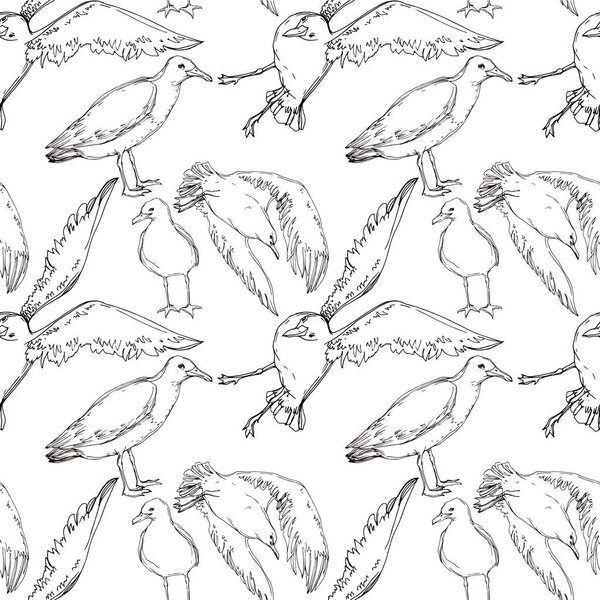 Vector Sky bird seagull in a wildlife. Black and white engraved ink art. Seamless background pattern.