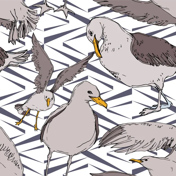 Vektor Himmelsvogel Möwe in einer Tierwelt. Schwarz-weiß gestochene Tuschekunst. nahtloses Hintergrundmuster. — Stockvektor