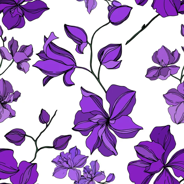 Vector Orchid flores botánicas florales. Tinta grabada negra y púrpura. Patrón de fondo sin costuras . — Archivo Imágenes Vectoriales