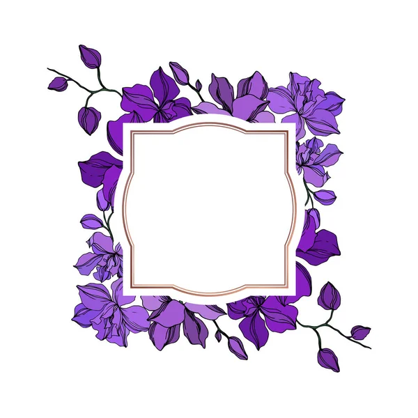 Vector Orchid floral botanical flowers. Black and purple engraved ink art. Frame border ornament square. — Stock Vector