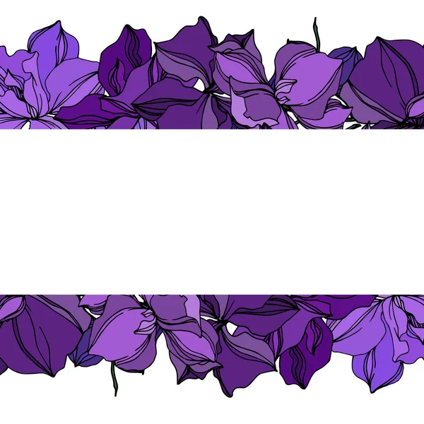 Fleurs botaniques florales d'orchidée de vecteur. Encre gravée noire et violette. Cadre bordure ornement carré . — Image vectorielle