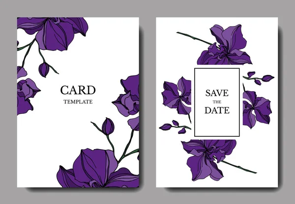 Vector Orchid flores botánicas florales. Tinta grabada en blanco y negro. Boda tarjeta de fondo borde decorativo . — Vector de stock