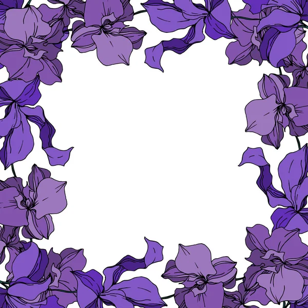 ベクトル蘭の花の植物の花。黒と白の彫刻インクアート。フレームボーダーオーナメント正方形. — ストックベクタ