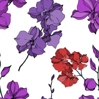 Vektör Orkide çiçek botanik çiçekler. Siyah ve beyaz oyulmuş mürekkep sanatı. Kesintisiz arka plan deseni.