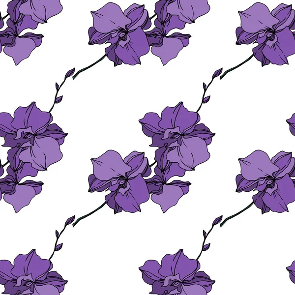 Vector Orchid flores botánicas florales. Tinta grabada en blanco y negro. Patrón de fondo sin costuras . — Archivo Imágenes Vectoriales