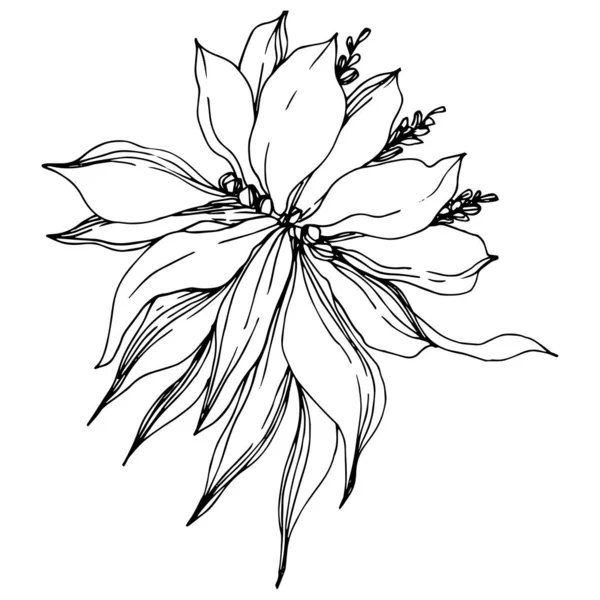 La palmera vectorial deja flores de la selva. Tinta grabada en blanco y negro. Elemento de ilustración de flores aisladas . — Vector de stock