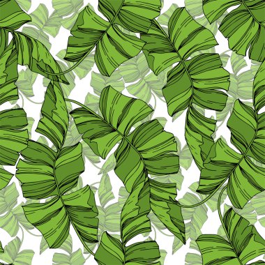 Vector Palm beach tree leaves jungle botanical plant. Black and white engraved ink art. Seamless background pattern. clipart
