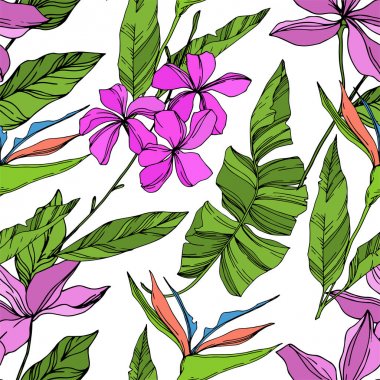 Vektör Palmiye plaj ağacı orman botanik bitki bırakır. Siyah ve beyaz oyulmuş mürekkep sanatı. Kesintisiz arka plan deseni.