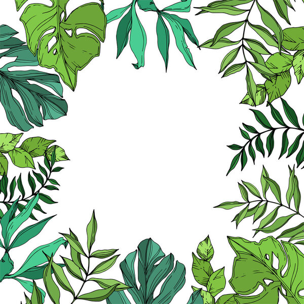 Vector Palm beach tree leaves jungle botanical. Black and white engraved ink art. Frame border ornament square.
