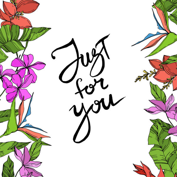 Vector Palm beach tree leaves jungle botanical plant. Black and white engraved ink art. Frame border ornament square.