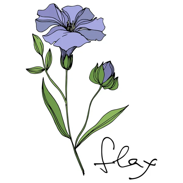 เวกเตอร์ฟลักซ์ ดอกไม้พฤกษศาสตร์ ศิลปะหมึกแกะสลักสีดําและขาว องค์ประกอบภาพแฟล็กซ์ที่แยกแยก . — ภาพเวกเตอร์สต็อก
