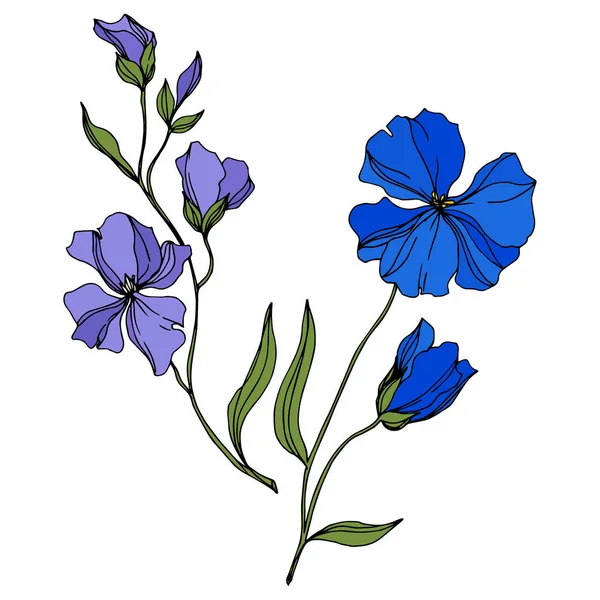 Vector vlas bloemen botanische bloemen. Zwart-wit gegraveerd Ink Art. Geïsoleerde vlas illustratie element. — Stockvector