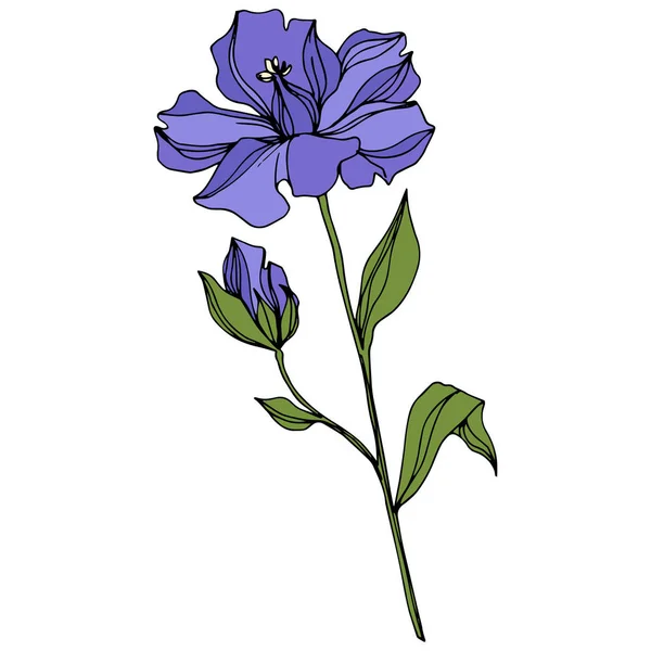 Vecteur Fleurs botaniques florales de lin. Encre gravée en noir et blanc. Élément d'illustration isolé en lin . — Image vectorielle