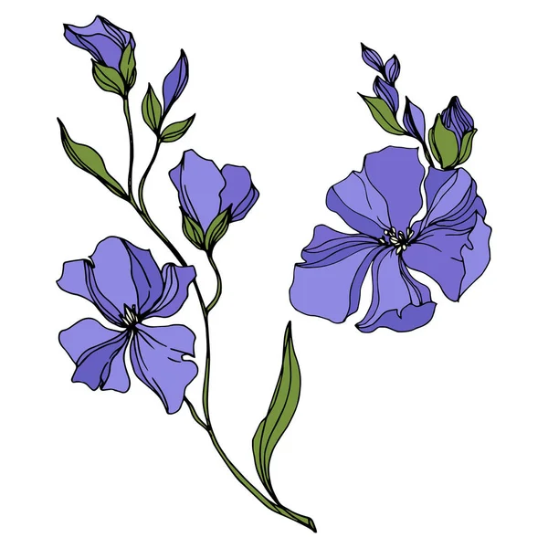Vektor lin blommiga botaniska blommor. Svart och vit graverad bläck konst. Isolerad lin illustration element. — Stock vektor