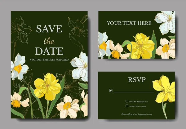 Vetor Narciso flores botânicas florais. Tinta gravada a preto e branco. Casamento cartão de fundo borda decorativa . — Vetor de Stock
