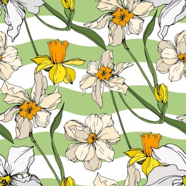 Vektör Narcissus çiçek botanik çiçekler. Siyah ve beyaz oyulmuş mürekkep sanatı. Kesintisiz arka plan deseni.
