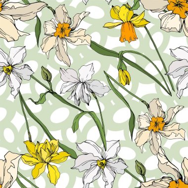 Vektör Narcissus çiçek botanik çiçekler. Siyah ve beyaz oyulmuş mürekkep sanatı. Kesintisiz arka plan deseni.