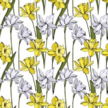 Vektör Narcissus çiçek botanik çiçekler. Siyah ve beyaz oyulmuş mürekkep sanatı. Kesintisiz arka plan deseni.