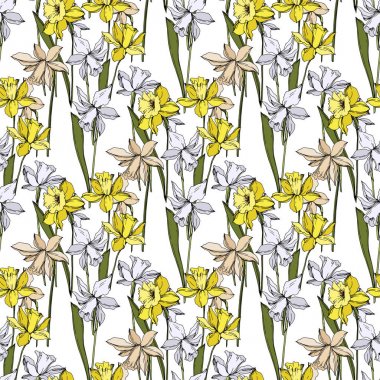 Vektör Narcissus çiçek botanik çiçekler. Siyah ve beyaz oyulmuş mürekkep sanatı. Kesintisiz arka plan deseni.