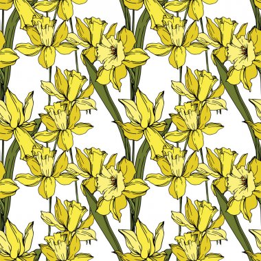 Vektör Narcissus çiçek botanik çiçekler. Siyah ve beyaz oyulmuş mürekkep sanatı. Kesintisiz arka plan deseni.