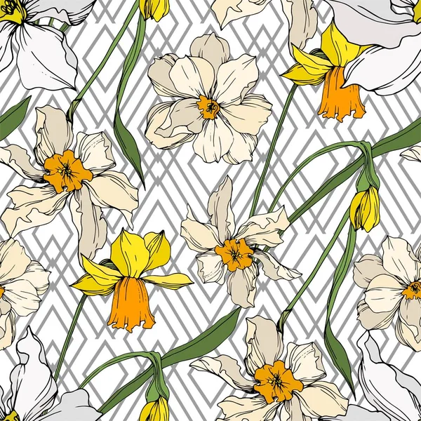 Vector Narcissus kwiatowy kwiatów botanicznych. Czarno-biała grawerowana sztuka atramentu. Płynny wzór tła. — Wektor stockowy